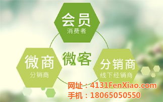 龙海制造，网加赋能 技术推广如何驱动工厂网络营销新篇章